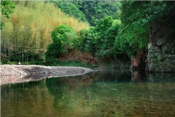 呼和浩特市玉泉区:聚焦“崇文、重教、营商、自然”,取得高质量发展新成效